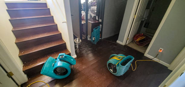 Best Flood damage cleanup  in Swarthmore, PA