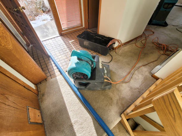 Best Flooded house restoration  in Swarthmore, PA