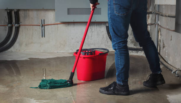 Best 24/7 water damage repair  in Swarthmore, PA