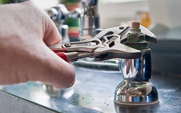 Best Mold removal after water damage  in Swarthmore, PA