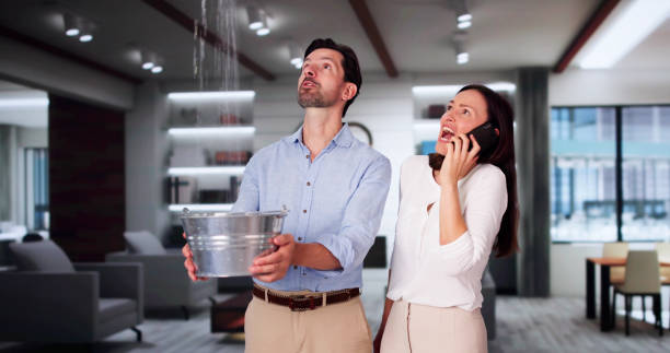Best Carpet water damage restoration  in Swarthmore, PA