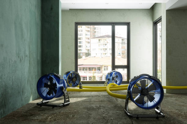 Best Water damage restoration near me  in Swarthmore, PA