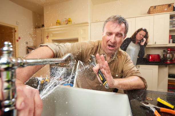 Best Mold removal after water damage  in Swarthmore, PA